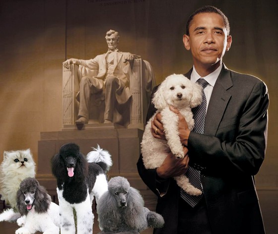 Practice Work: Presidential Puppies