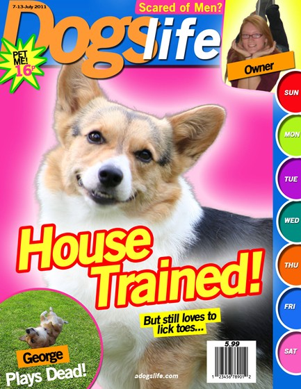November: Magazine cover