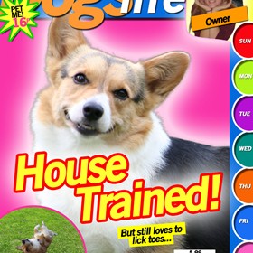 November: Magazine cover
